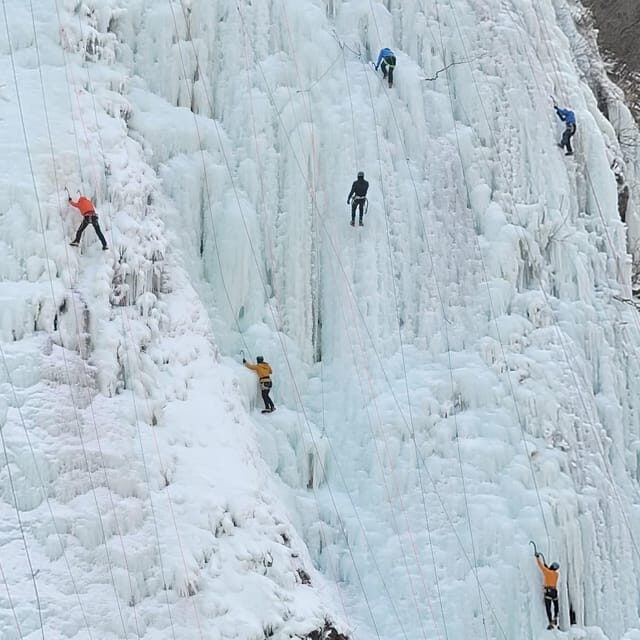 Wondae-ri Birch Forest and In-je Maebawi Icewall Day Tour - Cost & Value Analysis