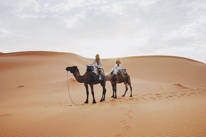 Wonderful Desert Tour From Fes To Merzouga 1 Night 2 Days - The Practical Side: What You Should Know
