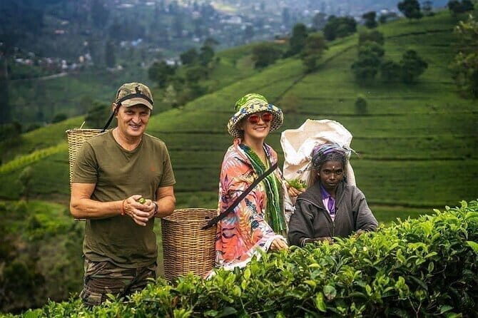Wonderful Srilankan 14 Days Tours - An In-Depth Look at the Sri Lankan Adventure