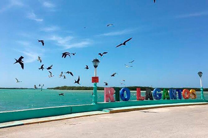 Wonderful Tour Las Coloradas & Buffete only from Cancun - An In-Depth Look at the Tour