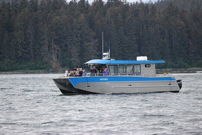 Wonderful Whales and Wildlife Tour - Key Points