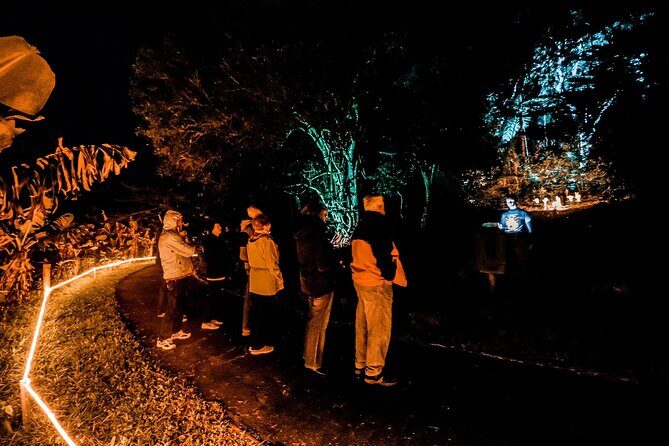 Wonderland by Night Norfolk Island - What to Expect from the Tour