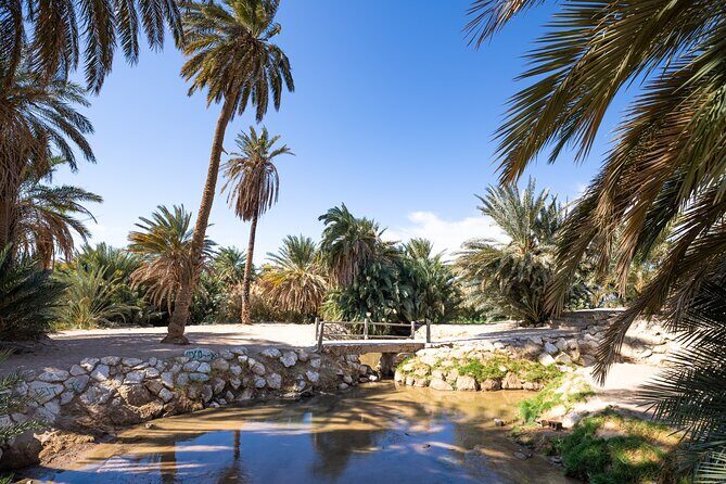 Wonders of Tabuk Tour 3 Days 2 Nights Tour - What Does the Tour Really Offer?
