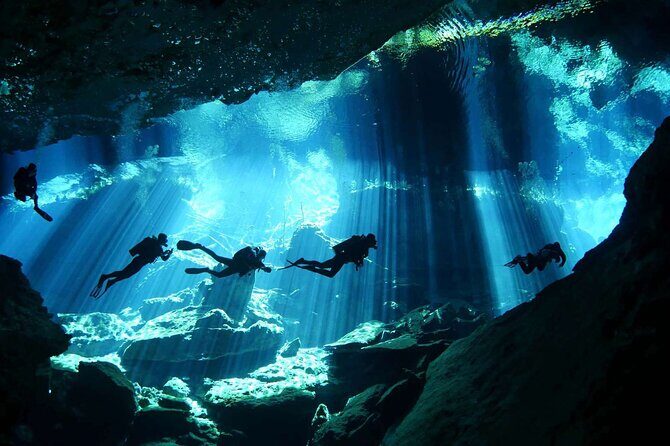 Wonders of the Underwater World: Discover Scuba Diving in Tulum - The Itinerary in Detail