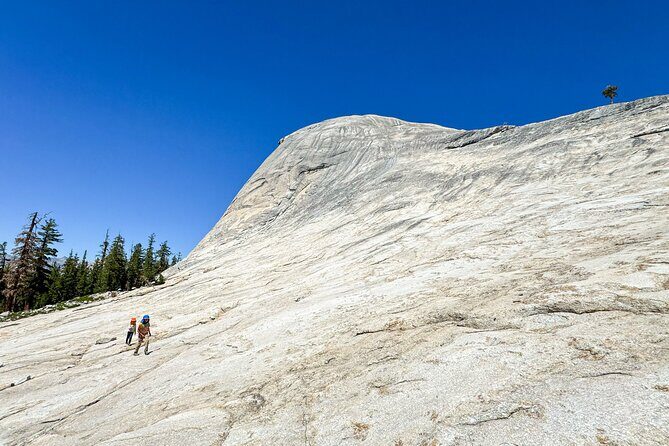 Wonders of Yosemite: Kid Friendly Private Tour - Key Points