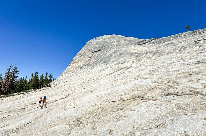 Wonders of Yosemite: Kid Friendly Private Tour - Frequently Asked Questions