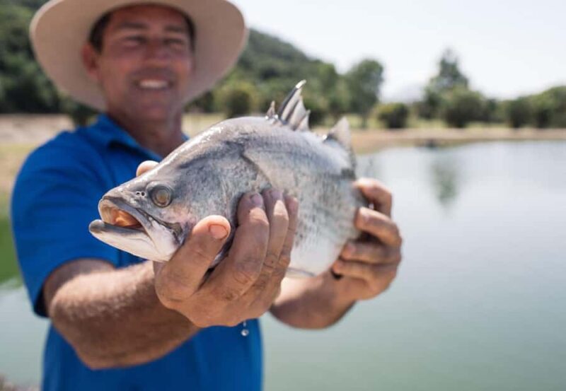 Wonga: Guided Fishing, Farming and Tasting Tour - The Sum Up