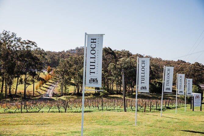 Wonnarua Sparkling Wine Tasting - The Sum Up