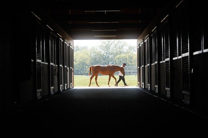 Woodford Reserve, Kismet Thoroughbred Farm & Whiskey Thief - FAQ