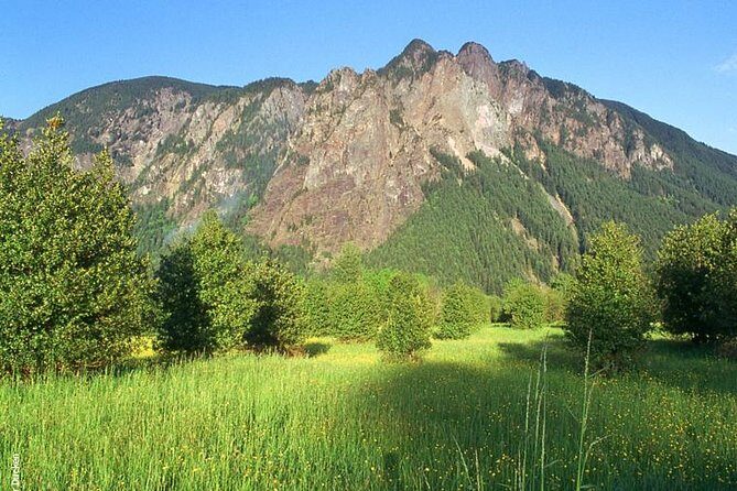 Woodinville Wine and Snoqualmie Falls Day Tour - Who Should Consider This Tour?