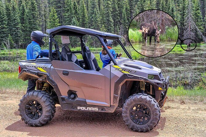 Woodland Park: 4-Hour Self-Guided Mountain UTV Tour - You Drive - Who Will Love This Experience?