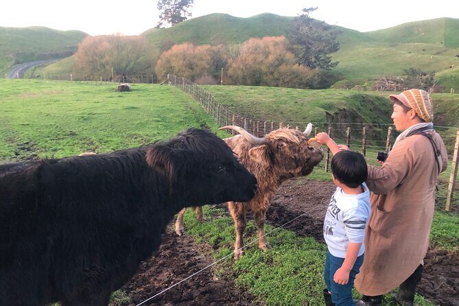 Wool Sheep Farm Experience with Handmade Wool Hat in New Zealand - Who Will Enjoy This Tour?