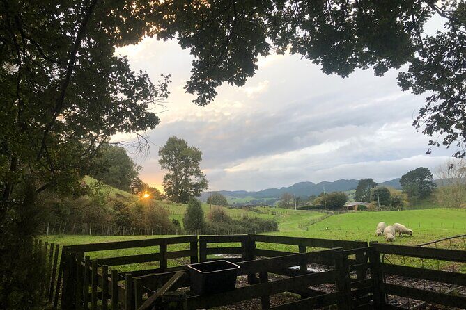 Wool Sheep Farm Experience with Handmade Wool Hat in New Zealand - The Sum Up