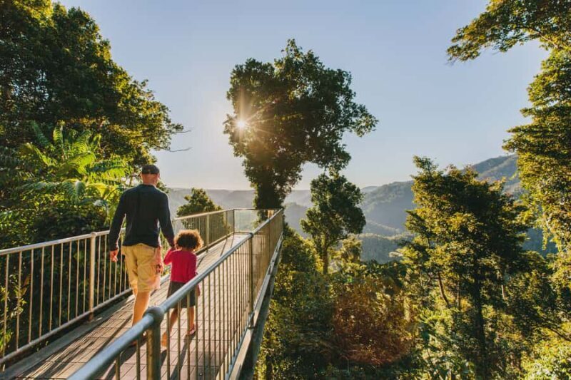 Wooroonooran National Park: Mamu Tropical Skywalk Admission - Exploring the Mamu Tropical Skywalk: A Closer Look