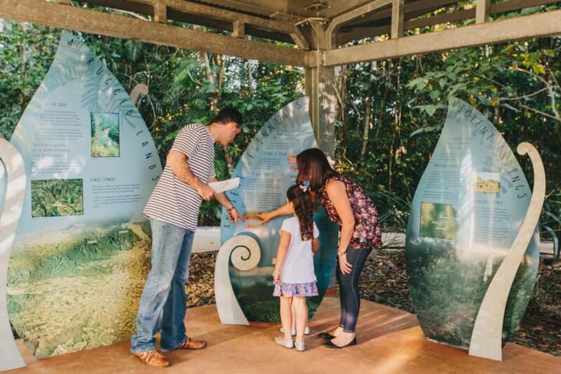 Wooroonooran National Park: Mamu Tropical Skywalk Admission - The Sum Up