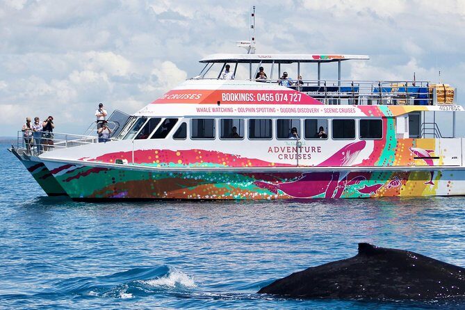 World class Whale Watching from Hervey Bay - The Review Insights from Travelers