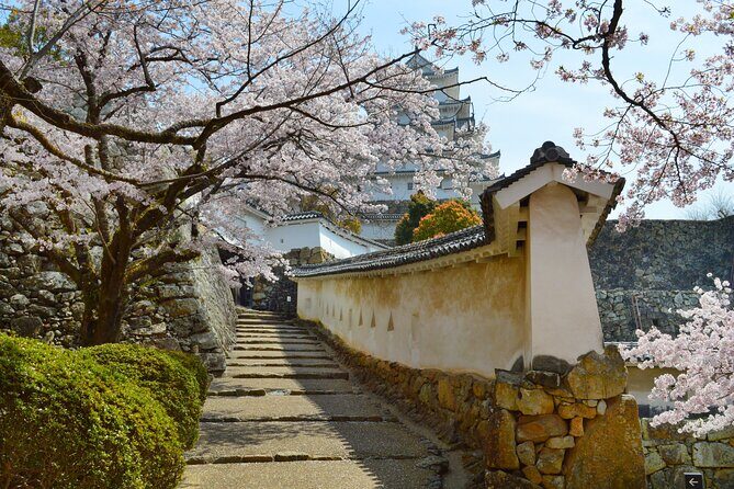 World Heritage Himeji Castle & Sake Breweries Private Tour - Final Thoughts: Is It Worth It?