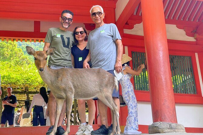 World Heritage Kyoto & Nara Uji Authentic Matcha Experience - The Sum Up