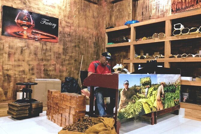 World Mart Souvenirs Store - Free Pick-up / Drop-off - An Honest Look at the Bella Mare Souvenirs Store Guided Tour