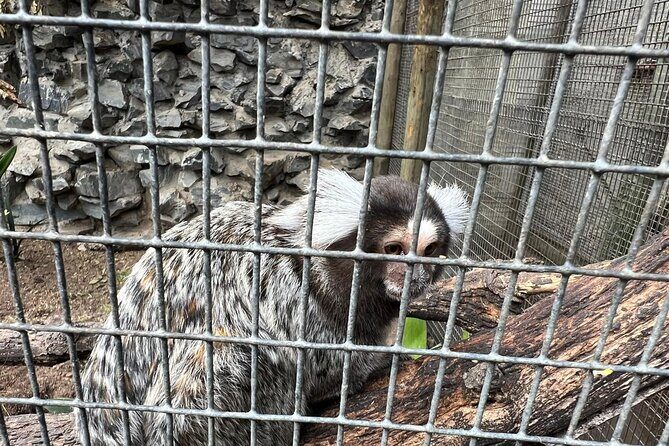 World of Birds, Kirstenbosch and Constantia Wine Private Day Tour - Final Thoughts