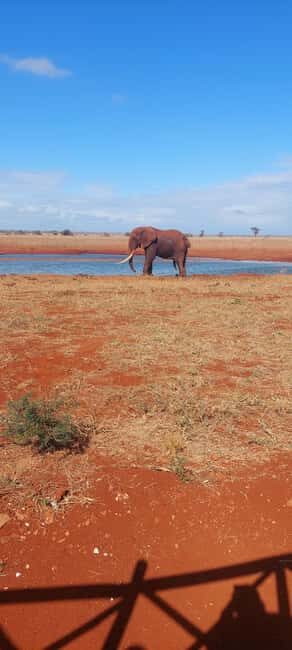 World war 1 Battlefield Tourism Experience in Kenya - Key Points