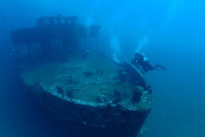 Wreck and Bridge Span Dive for Certified Divers - Exploring the Wreck and Bridge Span Dive for Certified Divers in Panama City Beach