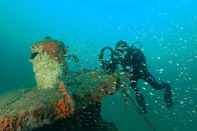 Wreck and Bridge Span Dive for Certified Divers - The Sum Up