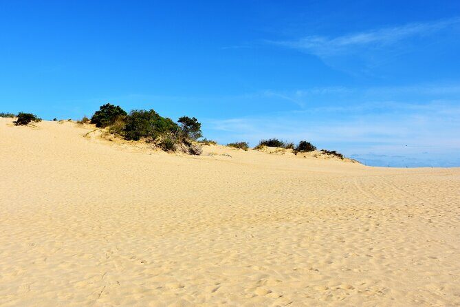 Wright Brothers Carolina Dunes Self-Guided Driving Audio Tour - Nature Reserves and Scenic Views