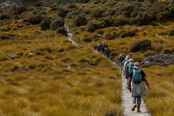 wulinantikala / Cradle Mountain Hiking Tour - 4 Days - The Itinerary Breakdown: What to Expect Each Day