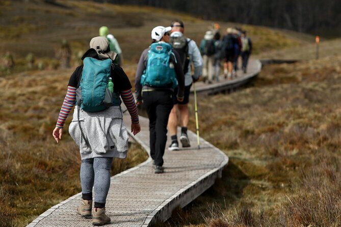 wulinantikala / Cradle Mountain Hiking Tour - 4 Days - Wrapping It All Up