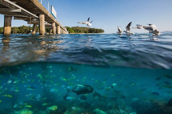 Wunyami Cultural Tour on Green Island's Eco Adventure - FAQ