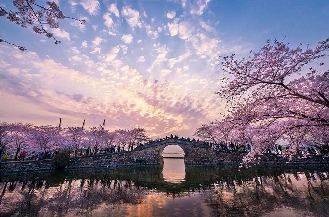 Wuxi Private Flexible Day Tour from Shanghai by Bullet Train - Who Is This Tour Best For?
