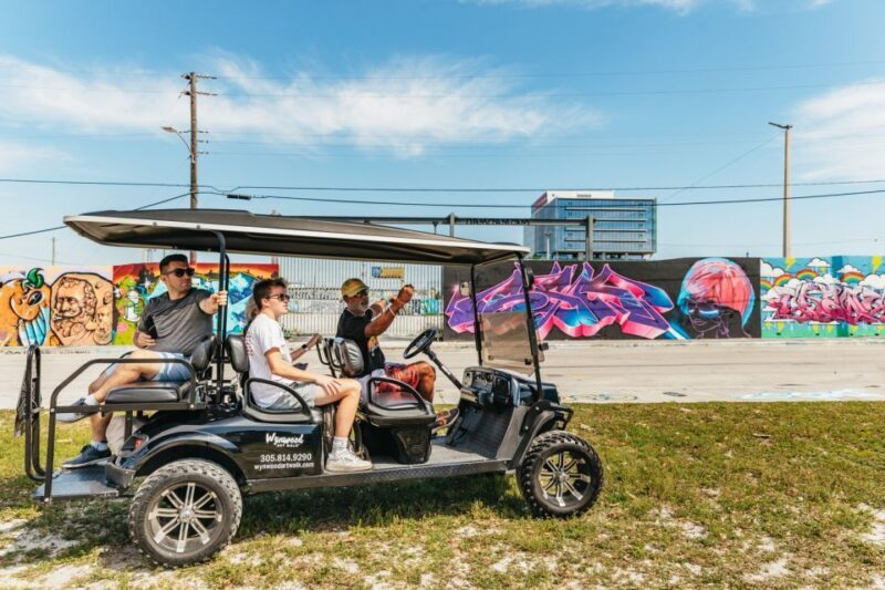 Wynwood Art District 1-Hour Street Art Tour by Golf Cart - A Deep Dive into Wynwood’s Street Art Tour