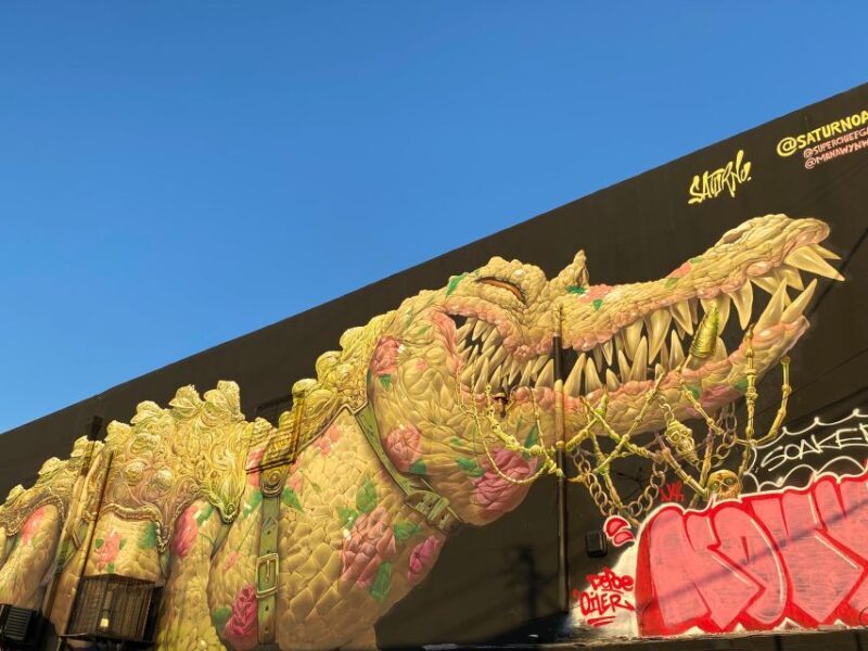 Wynwood walking tour in French (2h) - Key Points
