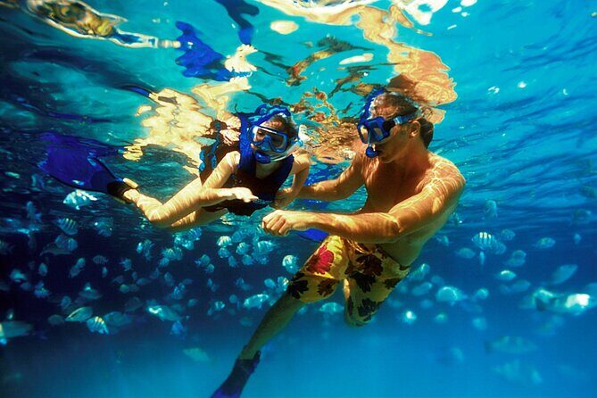 Xcaret Eco Archaeological Park Tour - FAQ
