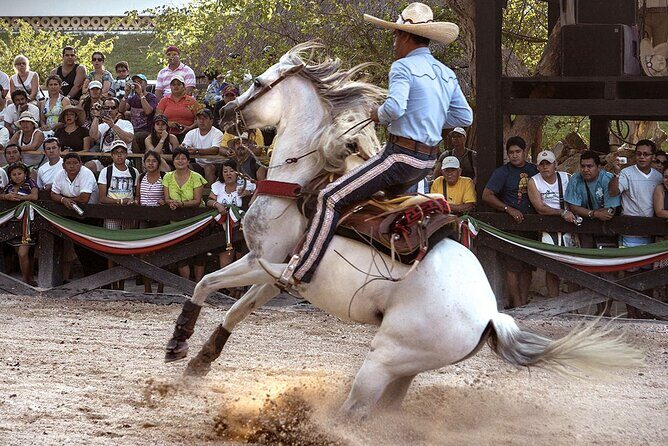 Xcaret Park Day Tour & Night Show with Transportation - Frequently Asked Questions