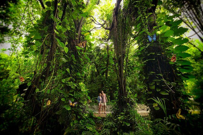 Xcaret Park Entry Tickets with Cultural Night Show Included - Detailed Breakdown of Attractions