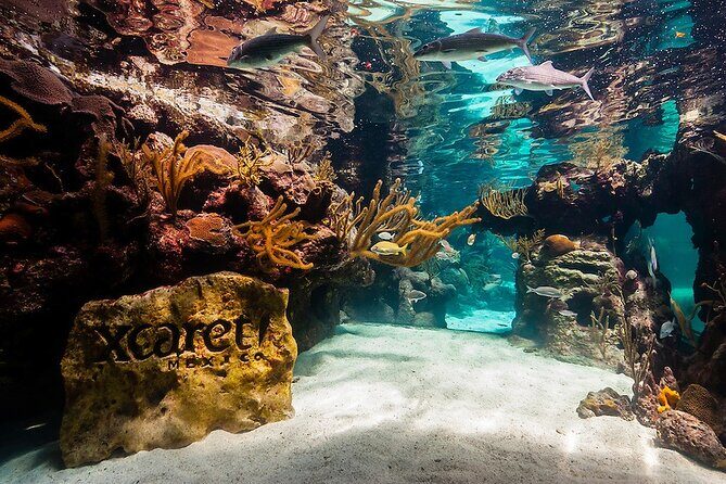 Xcaret Park! Nightshow, Underground River & Transportation - Frequently Asked Questions