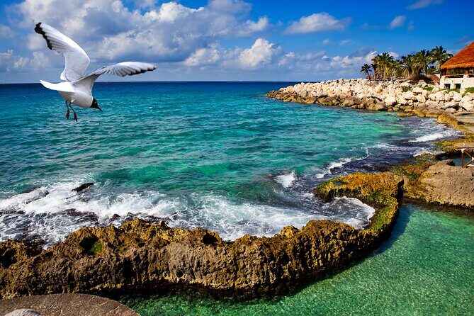 Xcaret Park Plus Tour! Nature, Culture and Nightshow from Cancun - The Sum Up