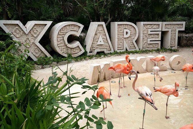 Xcaret Plus Full Day Tour - Practical Details and Tips