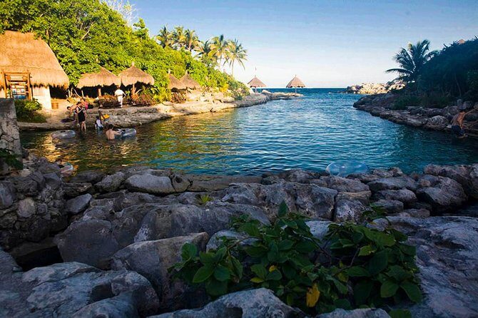 Xcaret Plus Park Tour with Transportation from Riviera Maya - What Travelers Are Saying