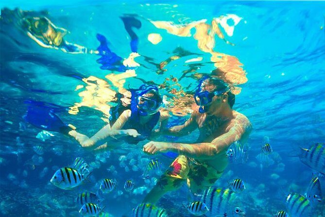 Xcaret Plus Park Tour with Transportation from Riviera Maya - Frequently Asked Questions