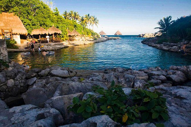 Xcaret Tour Plus with Buffete and Transportation only from Cancun - What Travelers Say