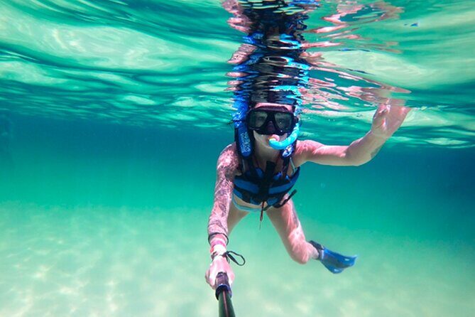 Xel-Ha All Inclusive Admission Ticket - What Could Be Better? Considerations