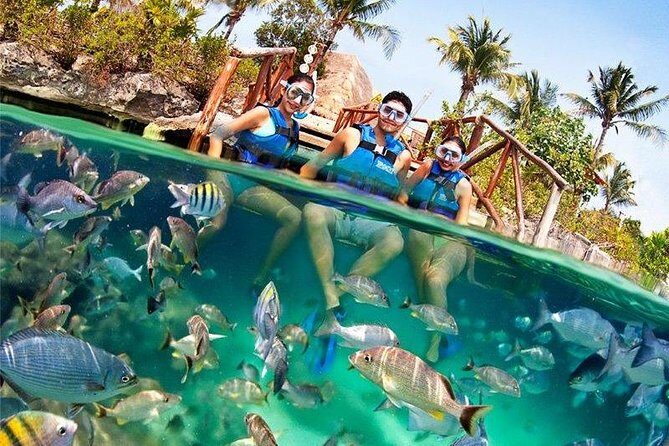 Xel-Ha All Inclusive Admission Ticket - Practical Tips for Making the Most of Your Day