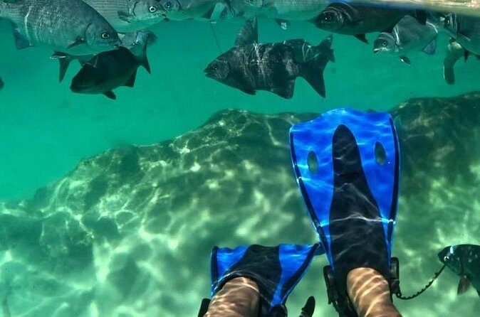Xel-ha All Inclusive Tour - The Sum Up