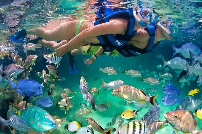 Xel-Há Aquatic Theme Park Private 12 hrs Trip from Cancun by van - FAQ