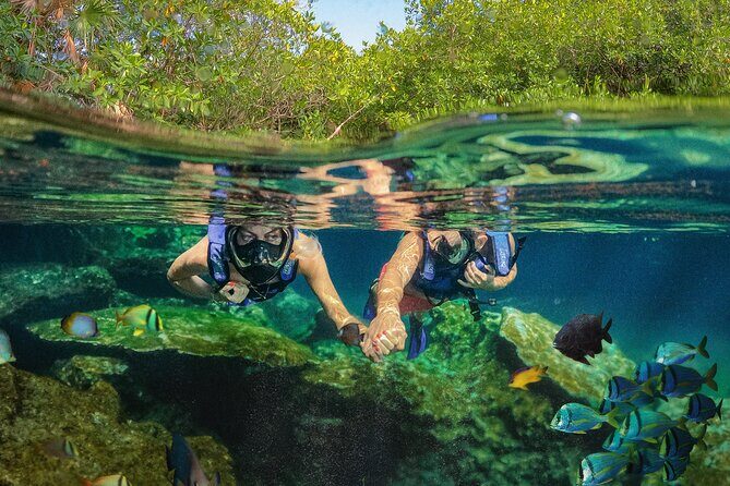 Xel-Ha Park Admission Tickets - The Sum Up