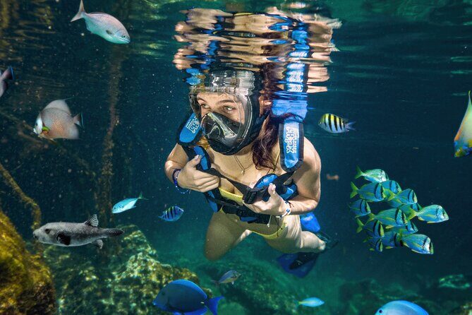 Xel-Ha Tickets with Transportation included - Authentic Traveler Insights