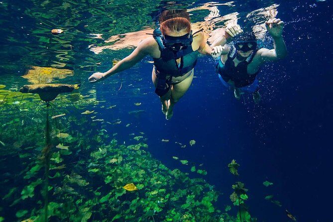 Xenotes Adventure from Riviera Maya - Key Points